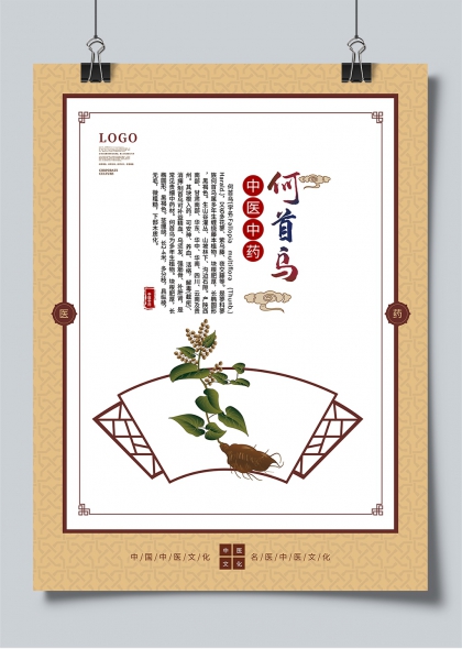 何首乌中药文化插画宣传海报