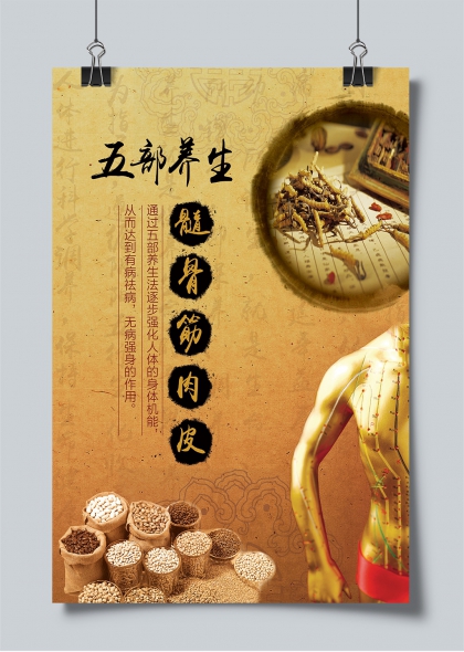 五部养生髓骨筋肉皮中医调理宣传海报