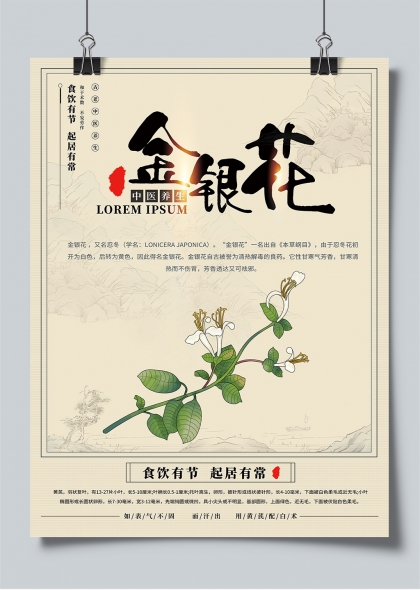 金银花中医养生水墨风节气健康宣传海报