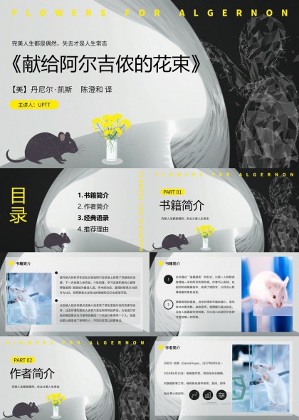 献给阿尔吉侬的花束文学解读与科学实验主题PPT模板