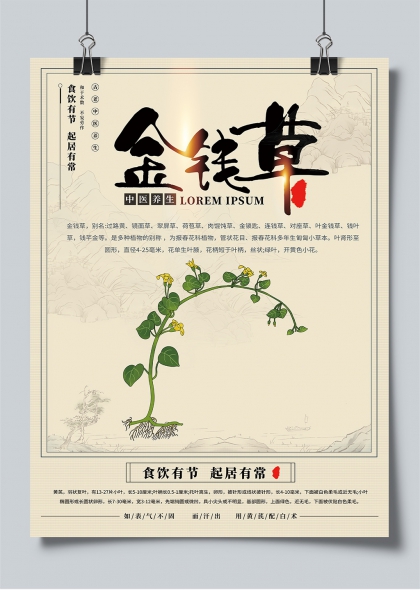 金钱草主题中医养生水墨插画海报