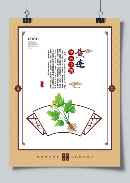 黄连中药插画扇面风中医文化宣传海报