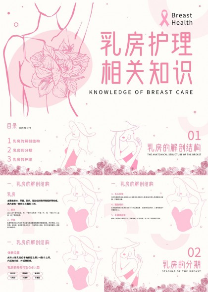 女性健康科普乳腺解剖分期护理知识PPT模板