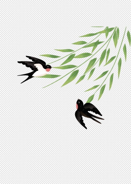 黑白色燕子衔柳枝手绘春日节气免抠插画元素