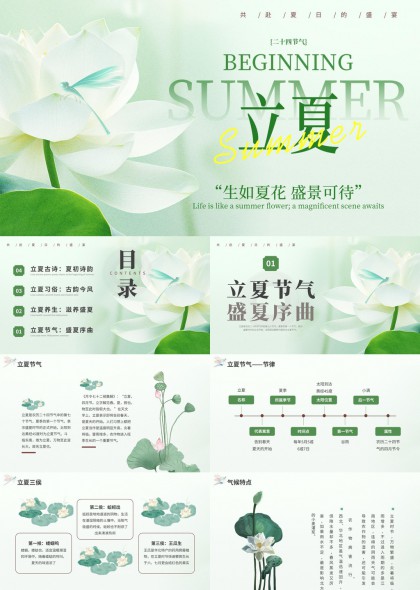 清新淡雅荷花蜻蜓立夏节气文化科普教育PPT模板
