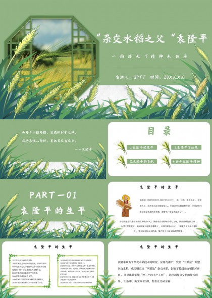 袁隆平生平贡献与精神传承稻田插画风PPT模板