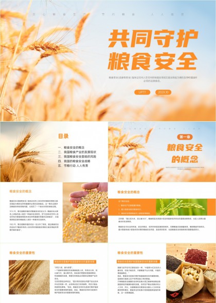 共同守护粮食安全政策解读与节粮行动实践PPT模板