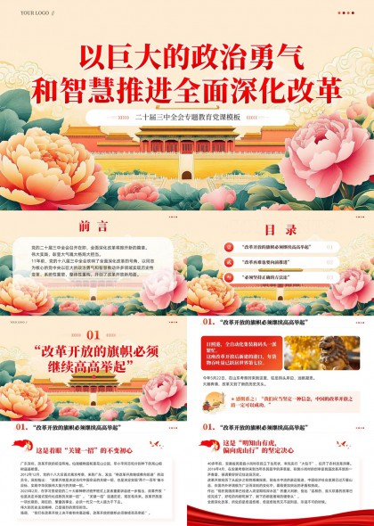 二十届三中全会专题教育党课PPT模板