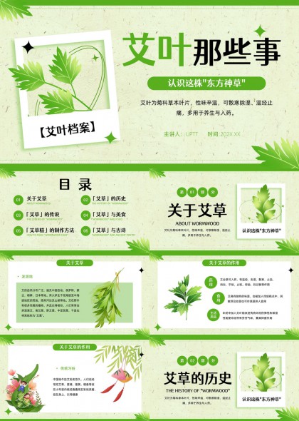 艾草文化科普PPT模板