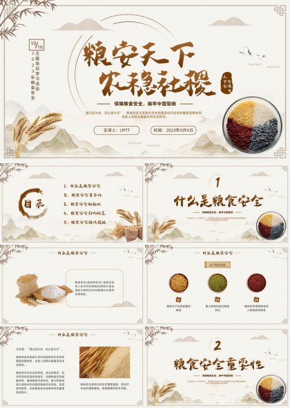 粮食安全政策解读与保障措施分析PPT模板
