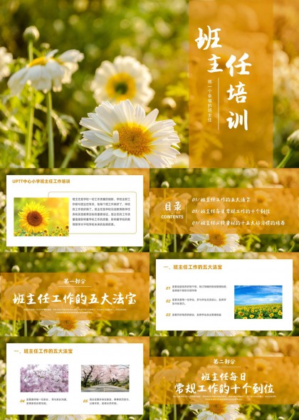 小学班主任工作PPT模板