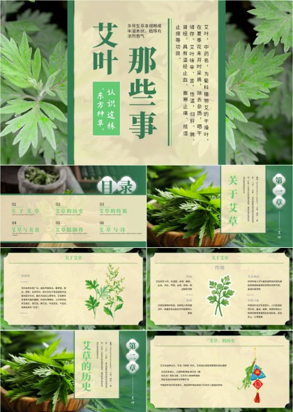 艾草植物科普PPT模板