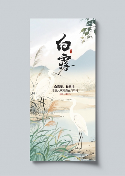 白露节气水墨风芦苇白鹭秋景海报