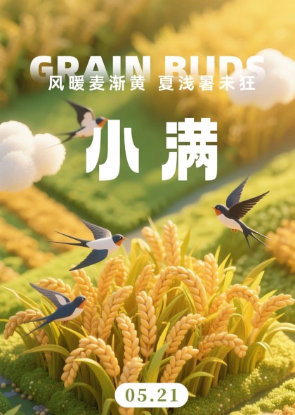 小满节气海报