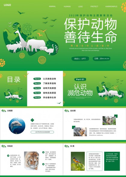 动物保护教育科普PPT模板