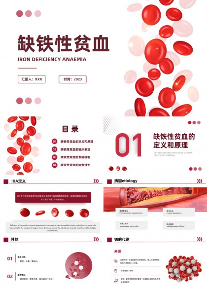 缺铁性贫血定义原理临床表现发病机制诊疗标准PPT模板