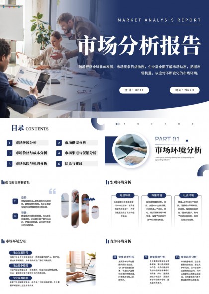 市场环境供需价格风险分析PPT模板
