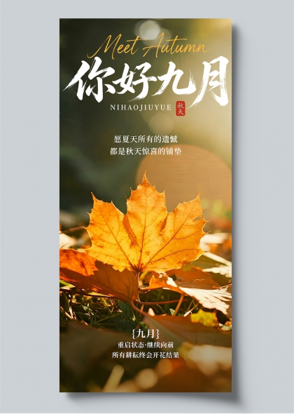 你好九月秋季枫叶手写书法海报手机海报
