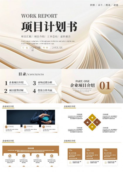 简约金色项目计划书PPT模板